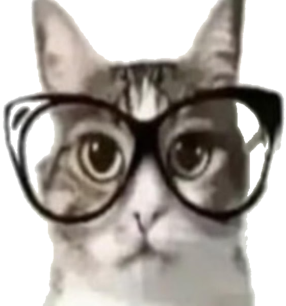 Nerd cat with glasses